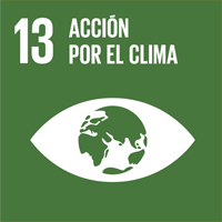 13 Objectiu acció pel clima