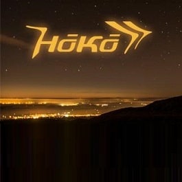 logo Hoko