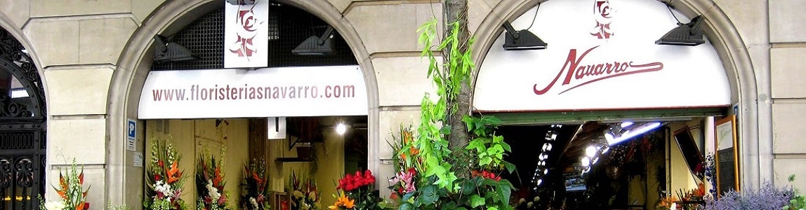 
        	Banner Floristería Navarro