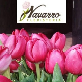 logo Floristería Navarro