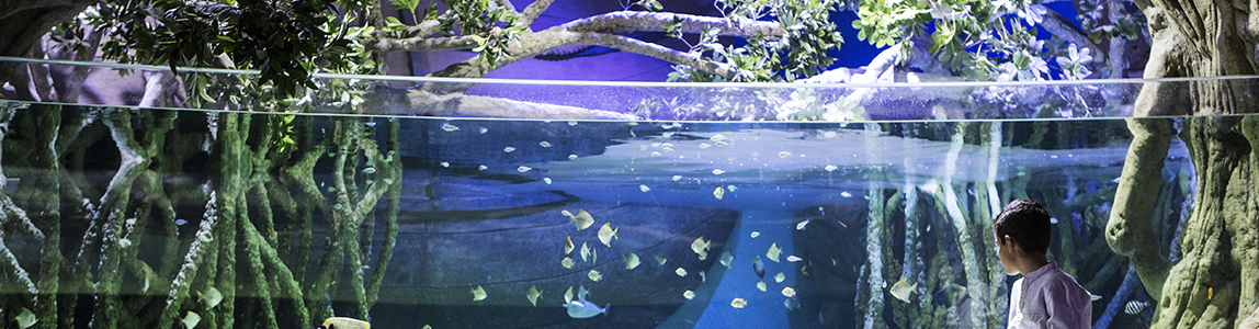 banner Acuario de Sevilla