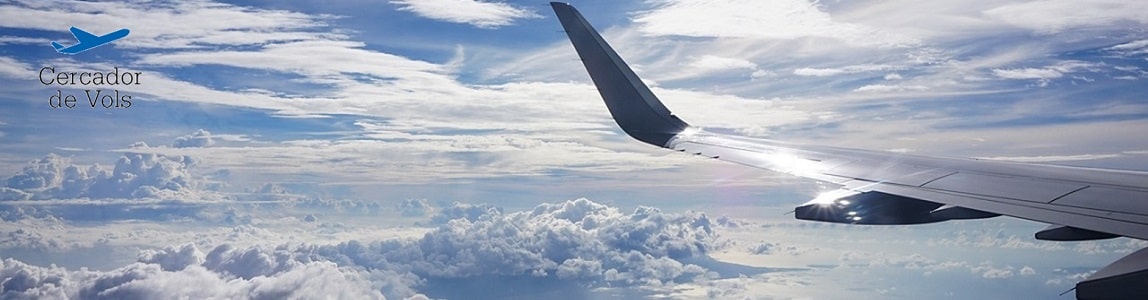 banner Cercador de Vols