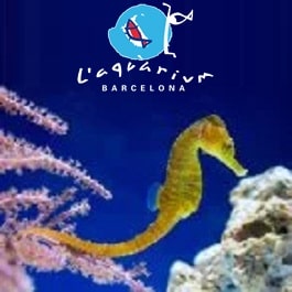 logo L'Aquarium de Barcelona