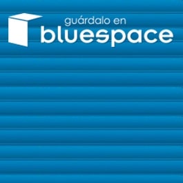 logo Bluespace