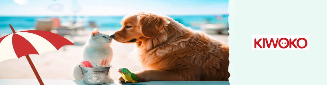 Banner kiwoko