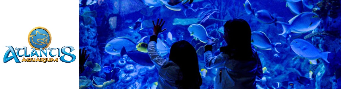 BANNER ATLANTIS