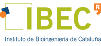 Logo IBEC (Abre ventana modal)