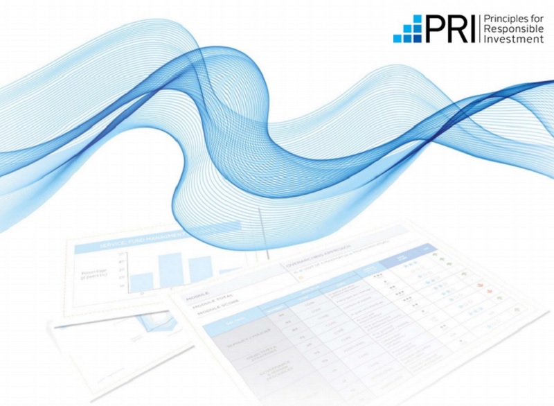 logo PRI